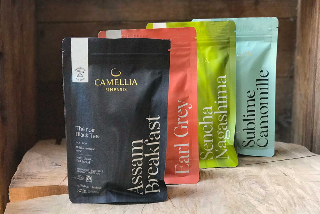 Thés et tisanes Camellia Sinensis